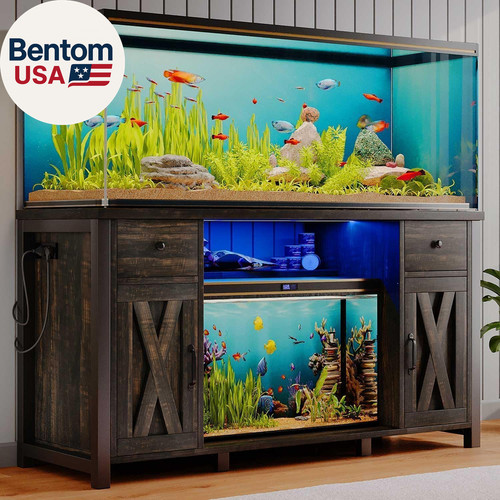 Gallon fish tank - fish, stand