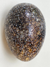 RARE OIVA TOIKKA IITTALA SCANDINAVIAN STUDIO ART GLASS DESIGN BIRD EGG & LABEL