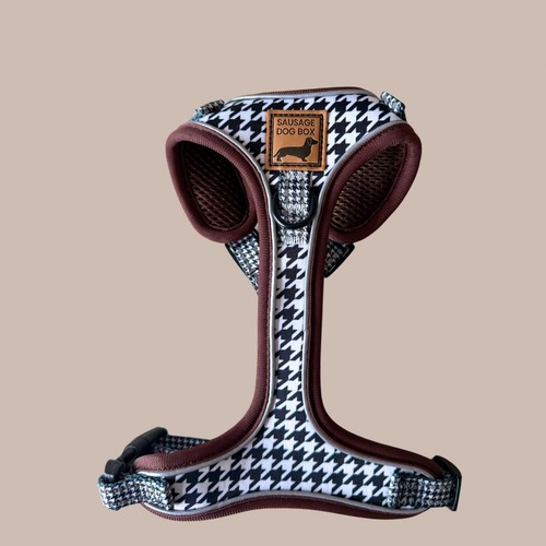 Houndstooth anti rub dachshund - houndstooth,