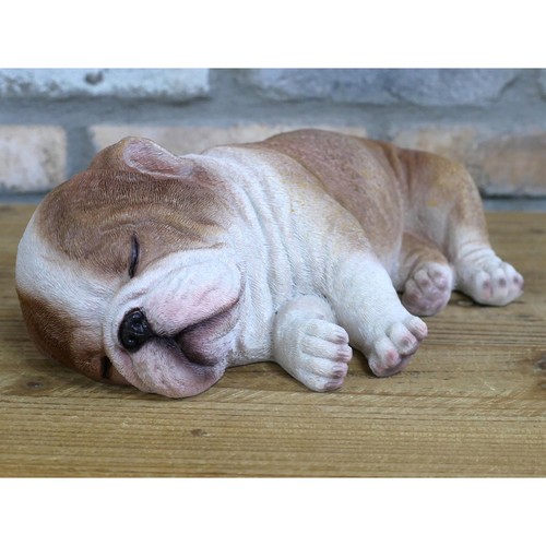 Sleeping english bulldog - english,