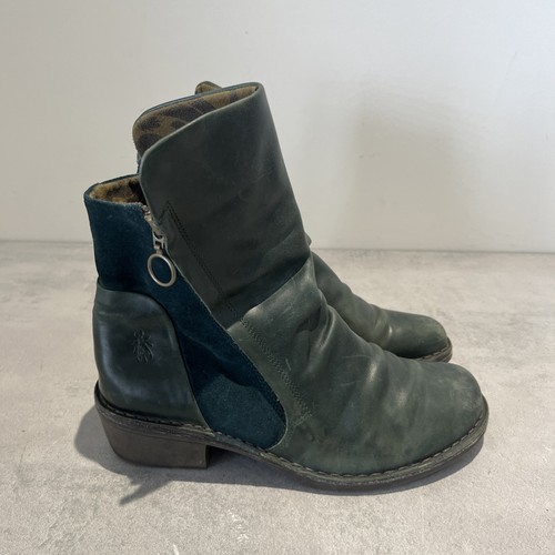 Petrol blue green - petrol, fly