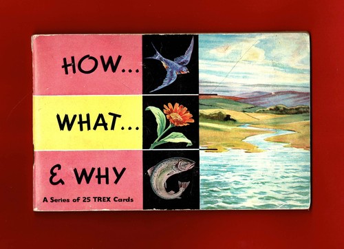 1955 how whay - how,, and