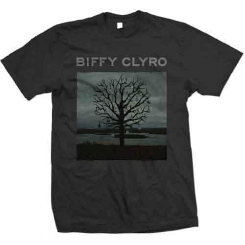 Biffy clyro chandelier - biffy,