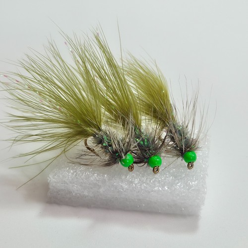 Hothead green grizzle damsel - 3,