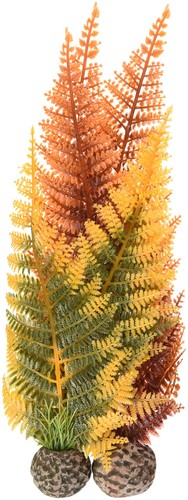 Biorb winter fern plant set - biorb,