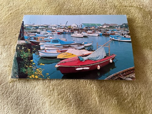 Exmouth harbour devon - devon, postcard