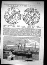 Old 1857 Fox Arctic Discovery Vessel Lady Franklin Microscope Serpent Victorian