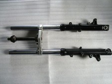 E1. Kawasaki ZR 1100 Zephyr