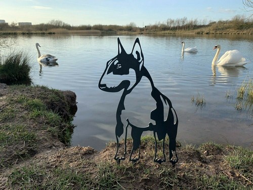 English bull terrier metal - english,