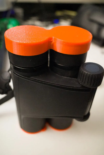 Compatible zeiss victory - compatible,