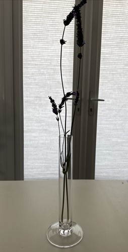 Glass vase bud - glass, bud/
