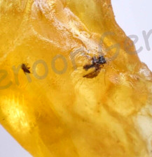 13.15 Ct Natural Tanzania