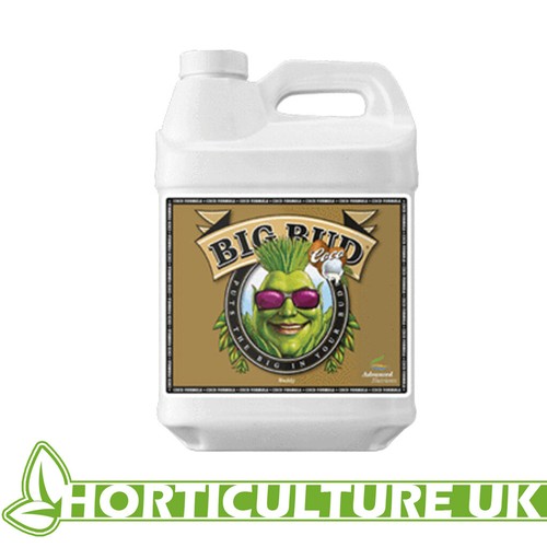 Advanced nutrients big bud - big,