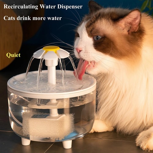 Usb automatic cat water - usb,