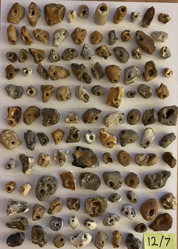 110 natural hag stones - 110,