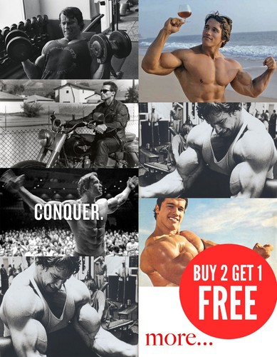 Arnold schwarzenegger - ,