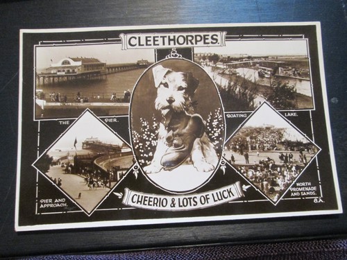 Postcard cleethorpes - postcard,