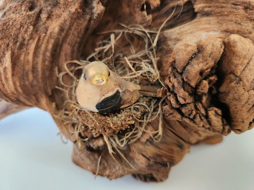 Sculpture driftwood bird art - driftwood,