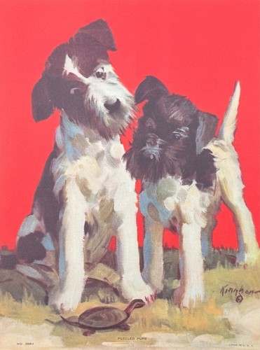 Vintage 10x7 jack russell - jack,