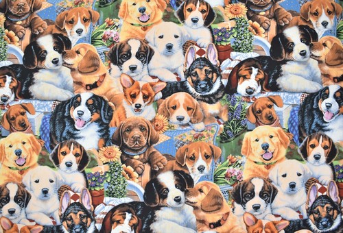 Cute puppies pattern design - pattern,