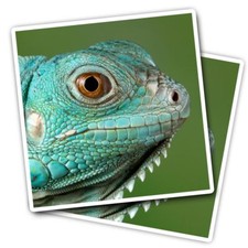 2x Vinyl Stickers Grand Cayman