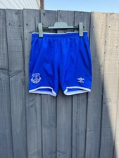 boys everton shorts large boys 