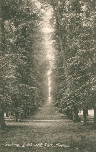Dorking surrey betchworth park - betchworth,
