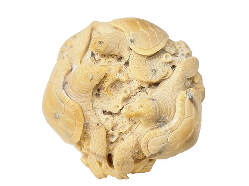 Hand carved tagua nut - nut, cluster