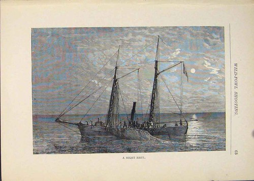 Original old antique - antique, print