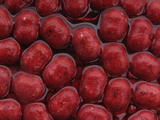 Robin red barrel chunks - barrel, in