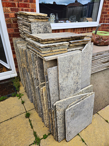Fossil mint sawn - fossil,