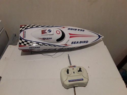 Radio control white sea bird - control,