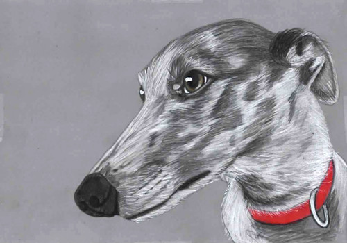 Original colour pencil - , artwork