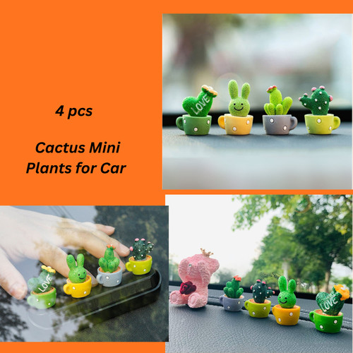 Set resin succulent - 4,
