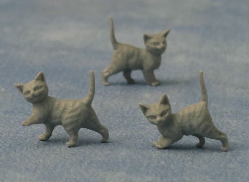 Three grey kittens - grey, miniature