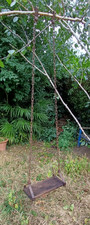 Early 20th century apple tree wood and metal tree swing