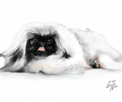 Original oil dog portrait - oil,