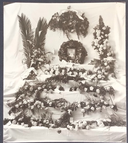 Post mortem deceased baby - deceased,
