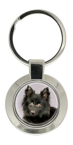 Schipperke dog key ring - dog,
