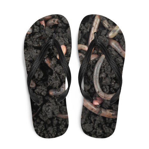 Flip flops worms - worms, photo