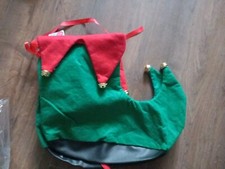 Elf Pixie Jester Boot shoe