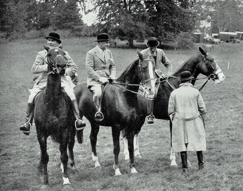 Stone riding school - riding, annual