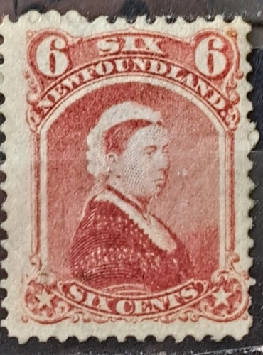 Newfoundland 1868 6c - newfoundland, rose