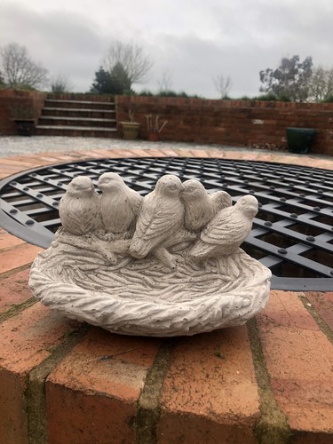 Garden bird bath concrete - garden, wall