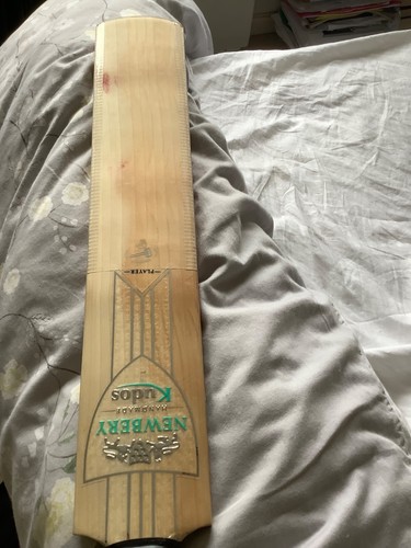 Newbery kudos player english - newbery,