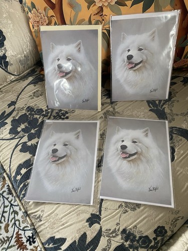 Samoyed greeting cards - samoyed,