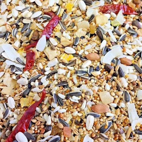 Premium conure mix - mix, j&j