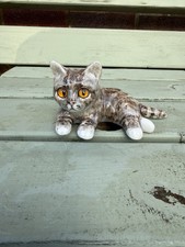 Winstanley Size 1 Tabby Cat In