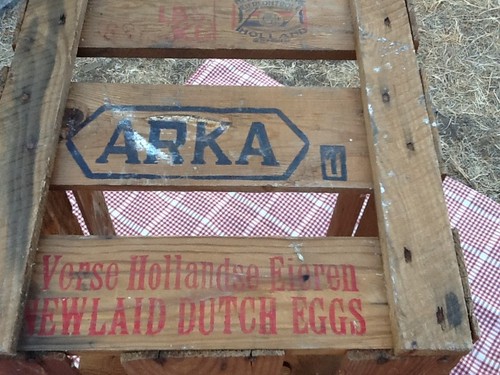 Vintage egg crate newlaid - vintage,