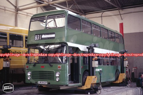 Bus photo luton - photo,